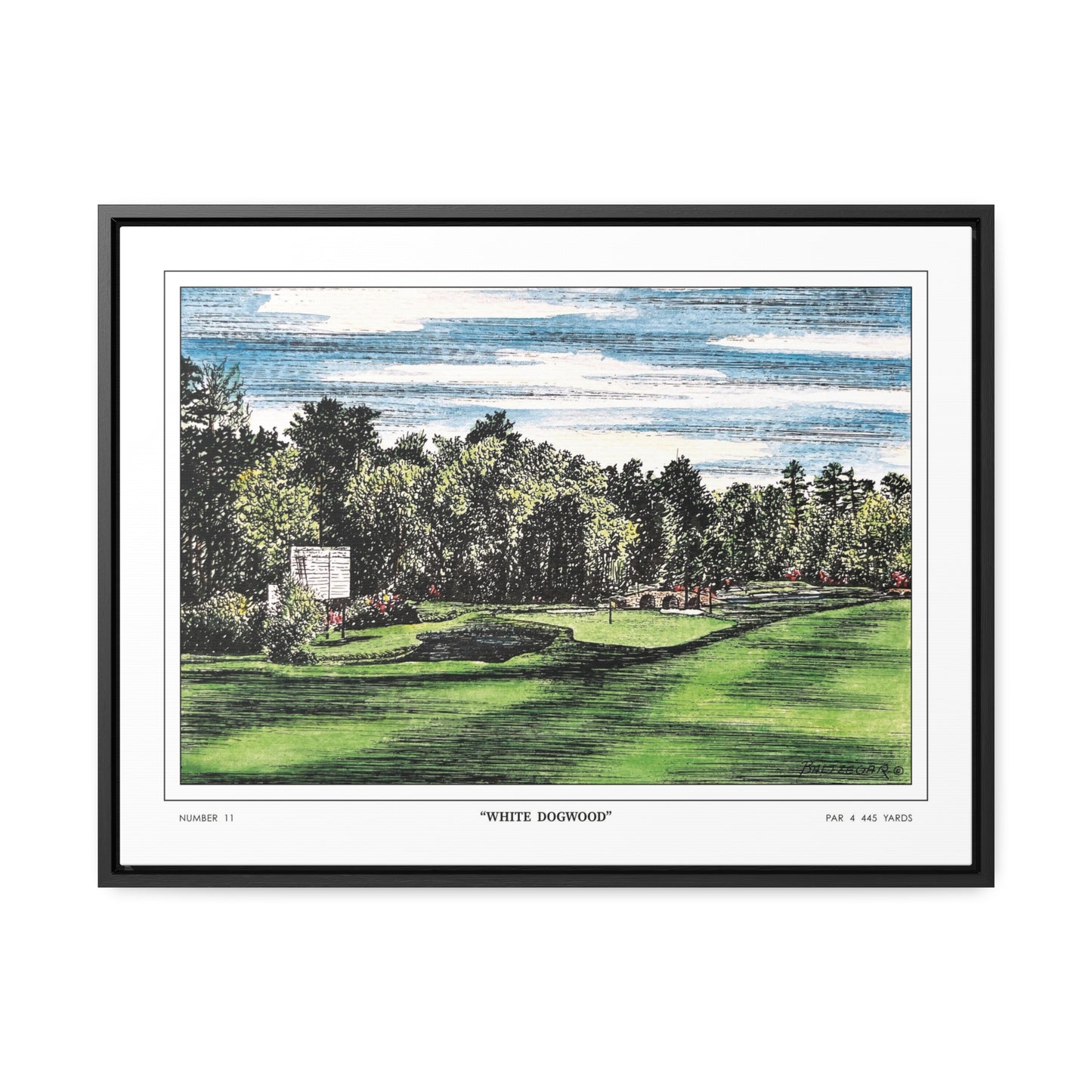 White Dogwood Augusta National Hole 11 Watercolor Painting | Original Masters Golf Art for Wall | Framed Horizontal Stretched Canvas Print