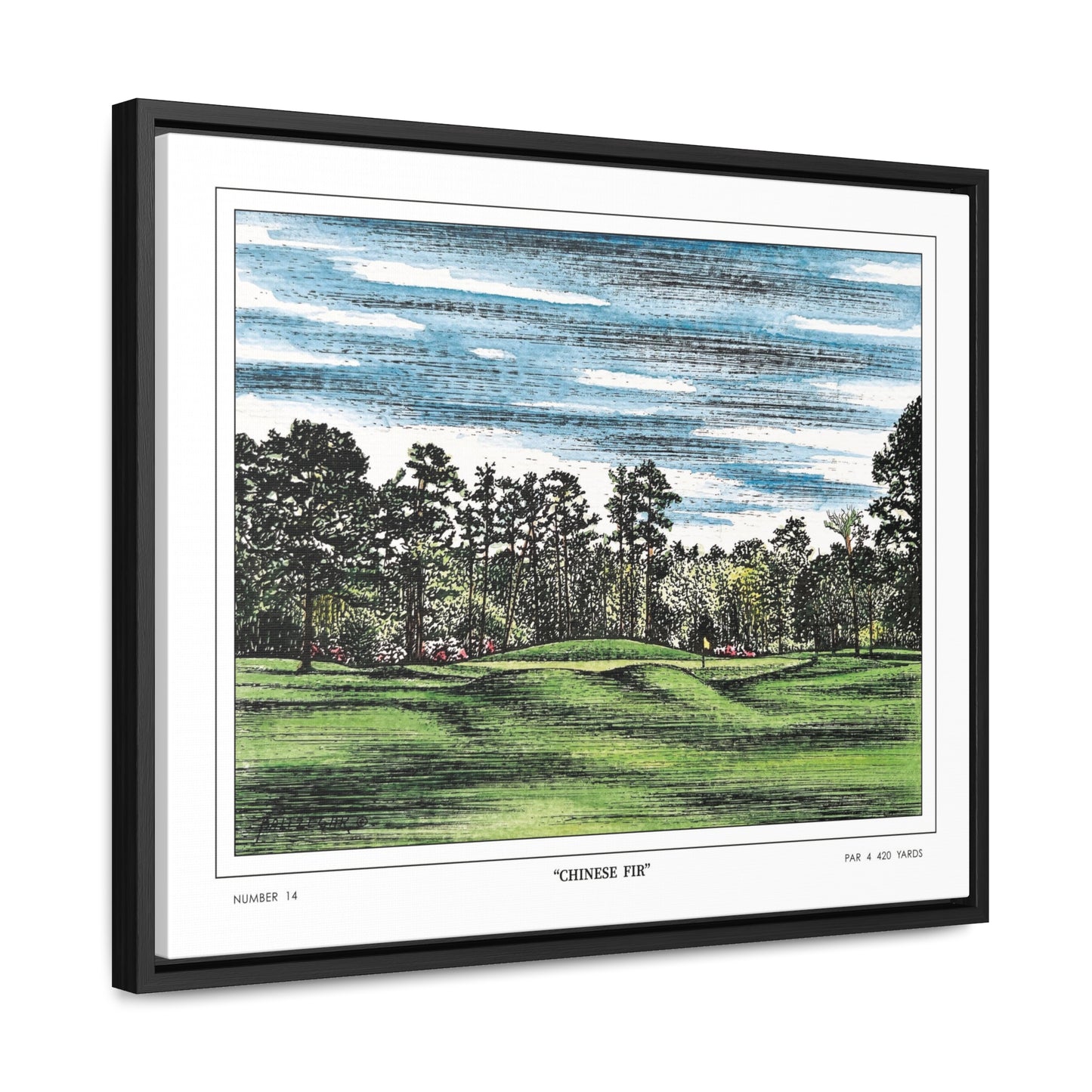 Chinese Fir Framed Canvas Golf Print for Wall